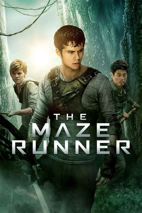 maze runner wiki|More.